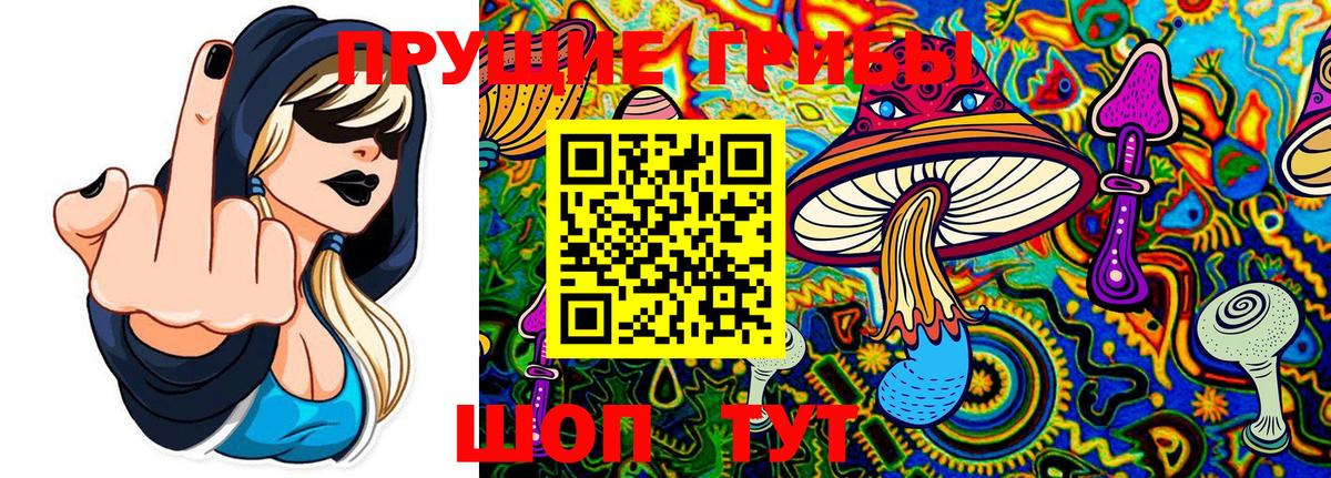 Псилоцибиновые грибы MAGIC MUSHROOMS  Галлюциногенные грибы прущие грибы  Вход с VPN  Чехов 